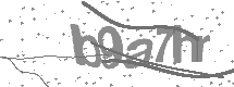 visual captcha